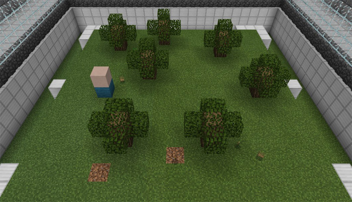 3D Animator Studio Minecraft map