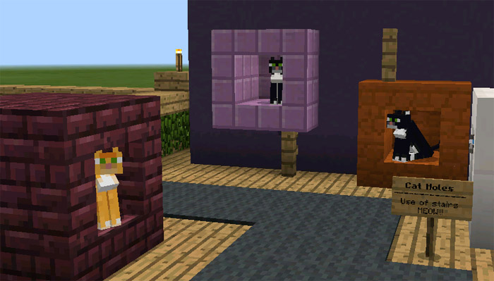 30 Animal Home Designs Minecraft map