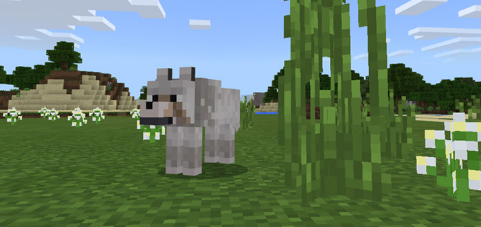 More Wolves Addon Minecraft addon
