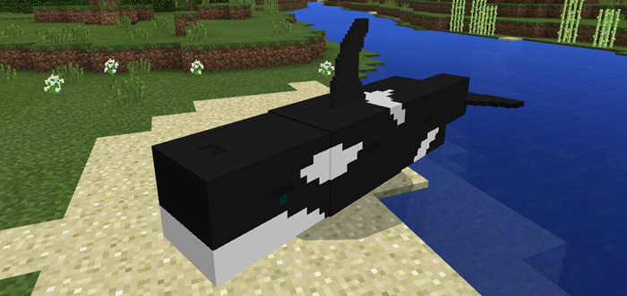 Orca Add-on Minecraft addon