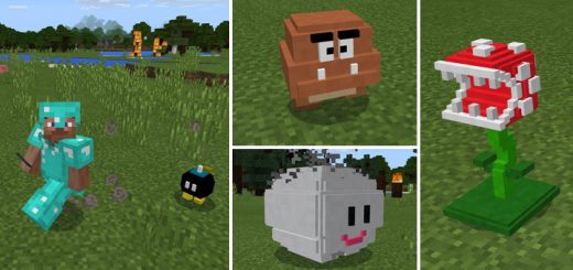 Super Mario Craft Addon Minecraft addon