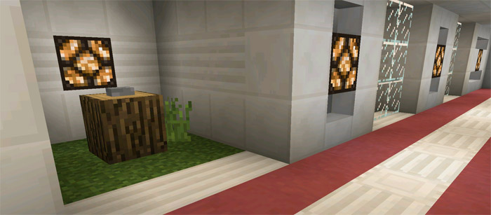 The Treasure Minecraft map