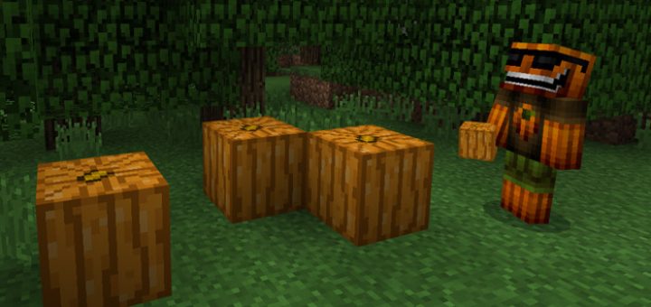 Uncarved Pumpkin Minecraft texture pack