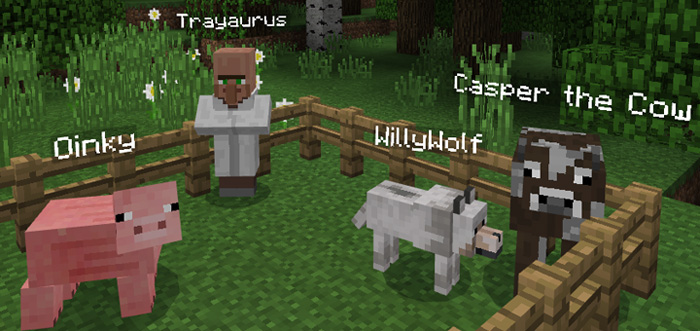 Always Show Name Tags Add-on Minecraft addon