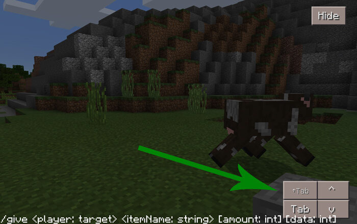 Autocompletion Addon Minecraft addon