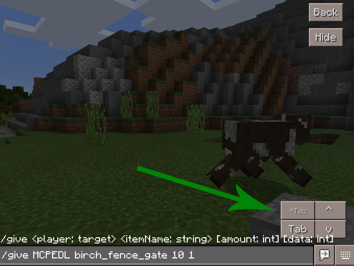 Autocompletion Addon Minecraft addon