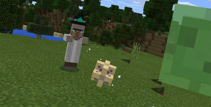 Elemental Witches Add-on Minecraft addon