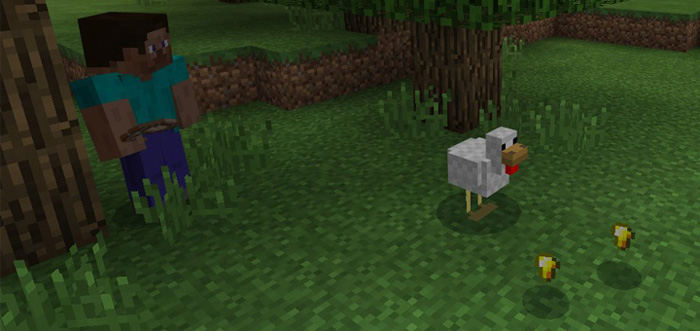 Golden Chicken Add-on Minecraft addon