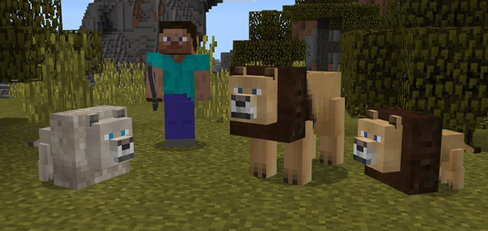 Lions Add-on Minecraft addon