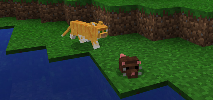 Mouse Add-on Minecraft addon