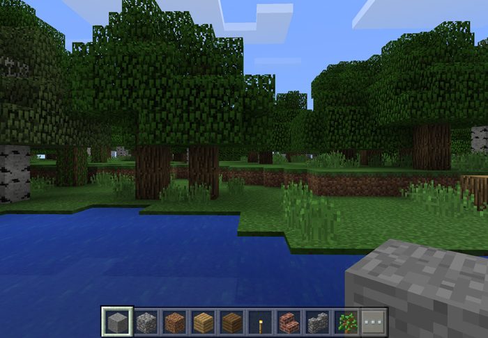 No Buttons Minecraft texture pack