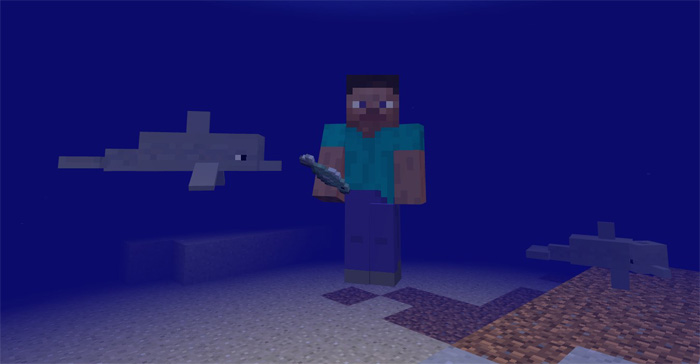 Dolphins Minecraft addon