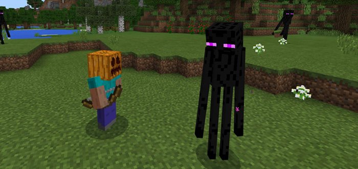 Enderman Pet Minecraft addon