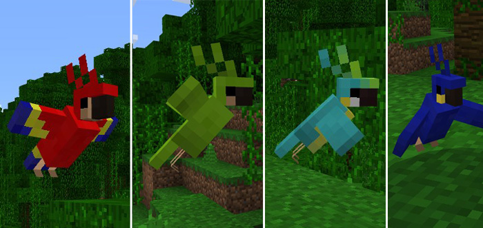 Minecraft PC Parrots Minecraft addon
