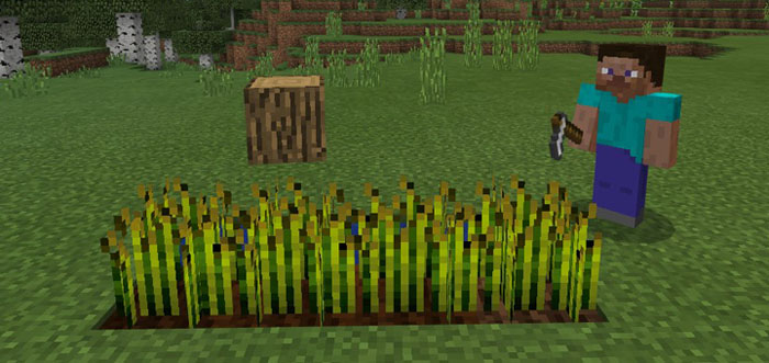 Block Heads Minecraft addon