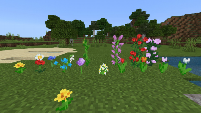 Move Shaders (1.10+) Minecraft shader