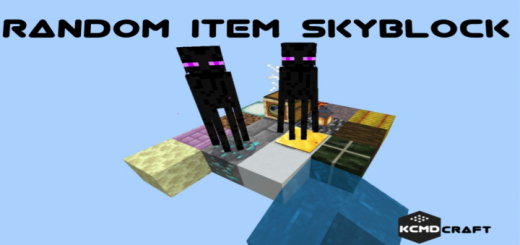 Random Item Skyblock Minecraft map