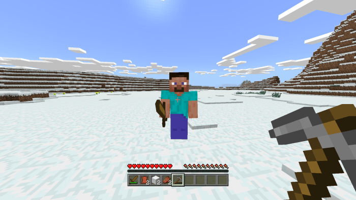 Human Addon (1.14|1.16) Minecraft addon