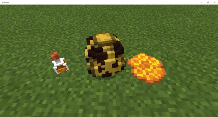 Place me (1.16) Minecraft addon