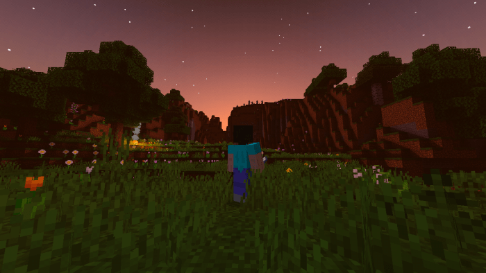 Zebra Shaders PE (1.14|1.16) Minecraft shader