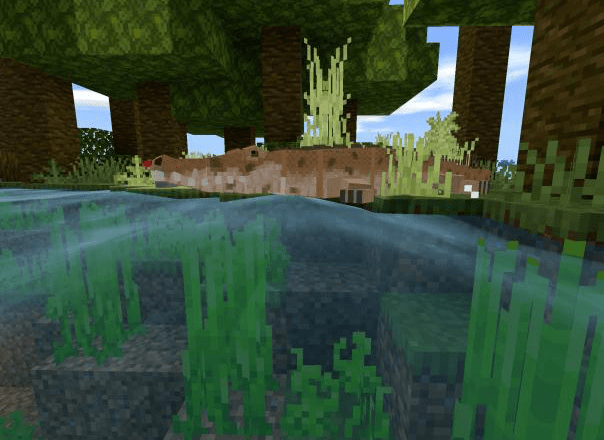 Amazonian Wonders (1.16) Minecraft addon