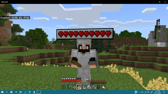 Health Bar Texture Pack (See Other’s Health!) (1.16) Minecraft texture pack