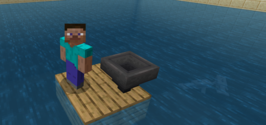 CT The RAFT Minecraft map