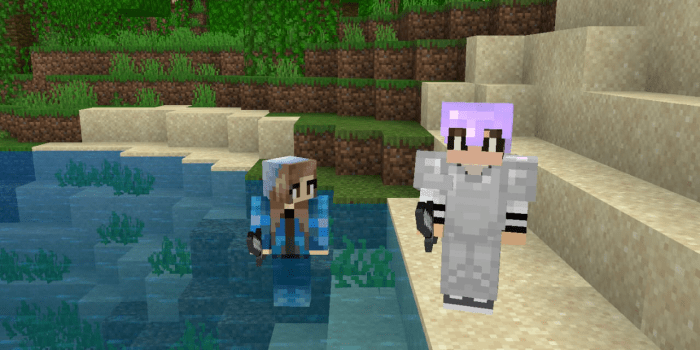 Player Addon Minecraft addon