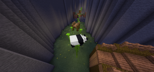Morph Parkour Minecraft map