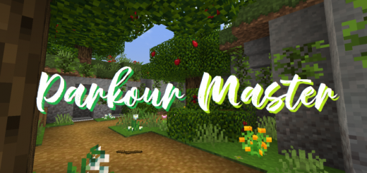 Parkour Master R | Minecraft map