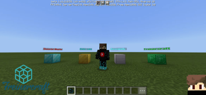 Floating Texts Minecraft addon