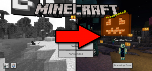 Beta Hider Resource Pack Minecraft texture pack