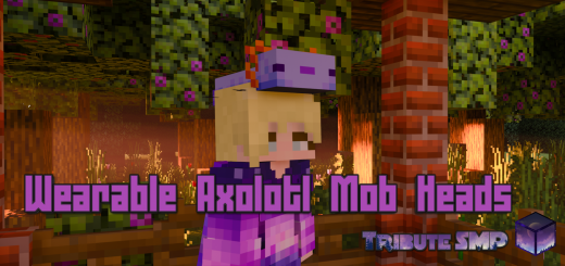 Wearable Axolotl Mob Heads Minecraft texture pack