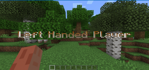 Left Handed Player Minecraft texture pack
