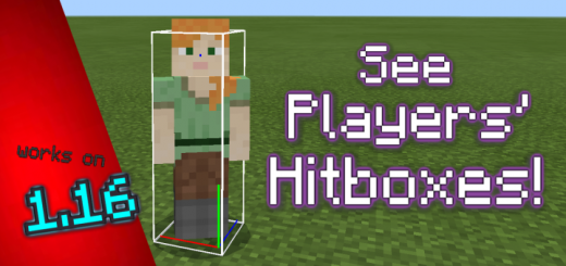 Player Hitbox Display Minecraft texture pack