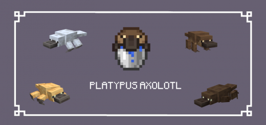 Platypus Axolotl Minecraft texture pack