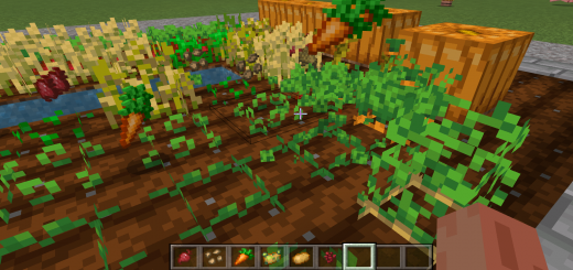 Spidi's Right Click Harvest Minecraft addon