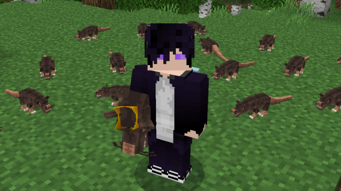 King of Rats Add-on Minecraft addon