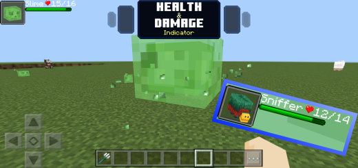Health and Damage Indicator Minecraft addon