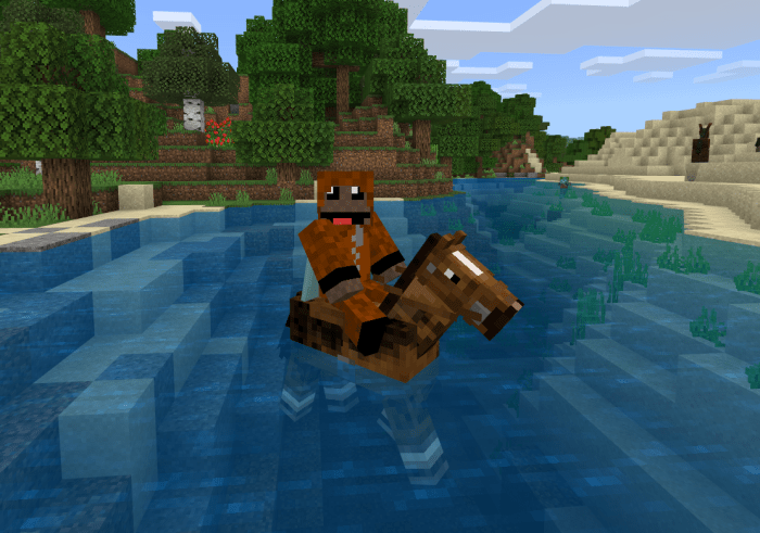 No More Water Dismounts