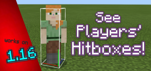 Player Hitbox Display