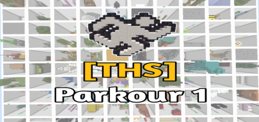 [THS] Parkour